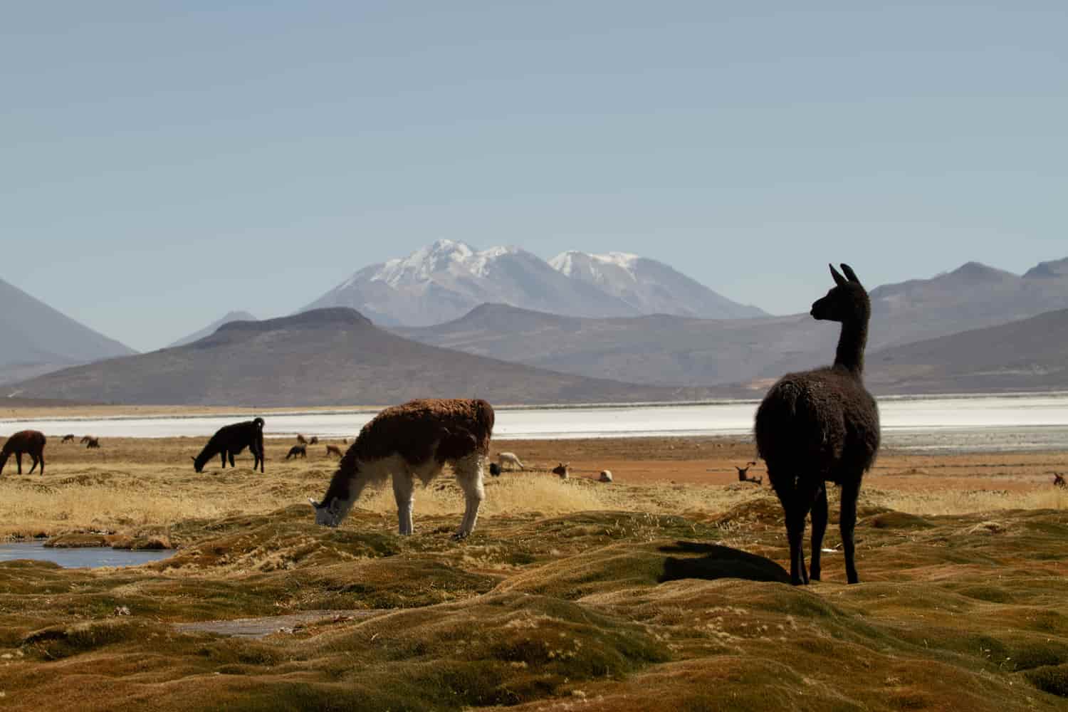 glamping peru experience